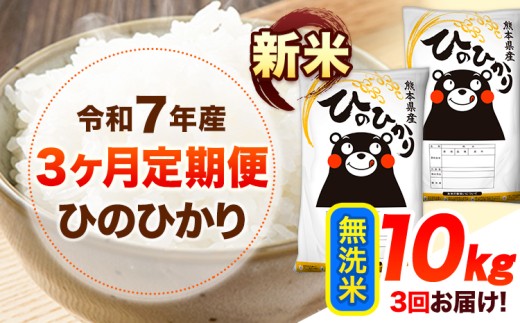 令和7年産【3ヶ月定期便】新米 無洗米 ひのひかり 10kg 《11月から出荷開始》 熊本県産 無洗米  精米 ひの  熊本県 山江村 SDGs 米 コメ こめ 国産熊本県山江村73500米・パン白米