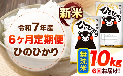 令和7年産【6ヶ月定期便】新米 無洗米 ひのひかり 10kg 《11月から出荷開始》 熊本県産 無洗米 精米 ひの  熊本県 山江村 SDGs 米 コメ こめ 国産熊本県山江村147000米・パン白米