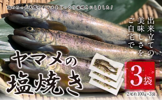 ヤマメの塩焼き 3袋(2尾約100g×3袋) 山江村ヤマメ生産組合《30日以内に出荷予定(土日祝除く)》熊本県山江村14000魚介・海産物鮮魚