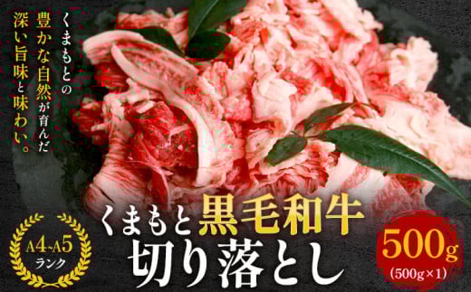 【A4〜A5】くまもと黒毛和牛 切り落とし 500g 《30日以内に出荷予定(土日祝除く)》 牛肉 くまもと黒毛和牛 黒毛和牛 冷凍庫 切り落とし熊本県山江村11500肉牛肉