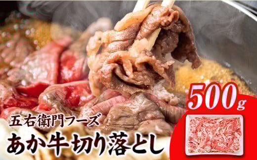  ؂藎Ƃ 500g ܉Eqt[Y s60ȓɏoח\(yj)t F{ S R]   Y F{Y uh i ґ  F{R]14500