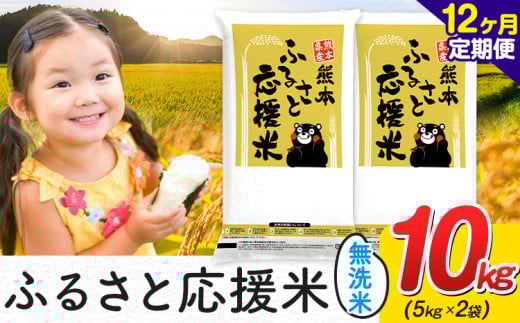 【12ヶ月定期便】米 無洗米 家庭用 熊本 ふるさと応援 定期便 米  10kg《11月から出荷開始》 熊本県産 精米 山江村 ブレンド米 国産 おうちご飯 予約 返礼品 発送 配送 SDGs わけあり むせんまい