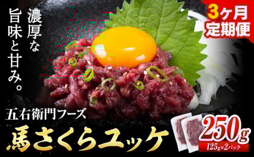 馬肉 馬さくらユッケ 125g × 2パック 750g 3ヶ月定期便 五右衛門フーズ 《お申込み月の翌月から出荷開始》 熊本県 球磨郡 山江村 馬肉 肉 国産 馬 さくら ユッケ 小分け 熊本県山江村40000肉ジビ