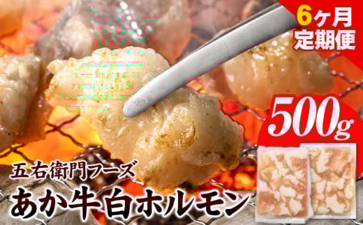 あか牛 白ホルモン 3kg 6ヶ月定期便 五右衛門フーズ 《お申込み月の翌月から出荷開始》 熊本県 球磨郡 山江村 牛肉 肉 国産 熊本県産 ブランド牛 絶品 贅沢 高級 あか牛 ホルモン もつ モツ