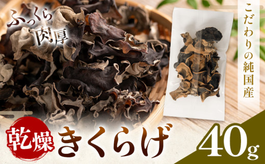 乾燥きくらげ 40g 鷹乃産業有限会社 《30日以内に出荷予定(土日祝除く)》熊本県 球磨郡 山江村 きくらげ きのこ 野菜熊本県山江村4500野菜・きのこきのこ