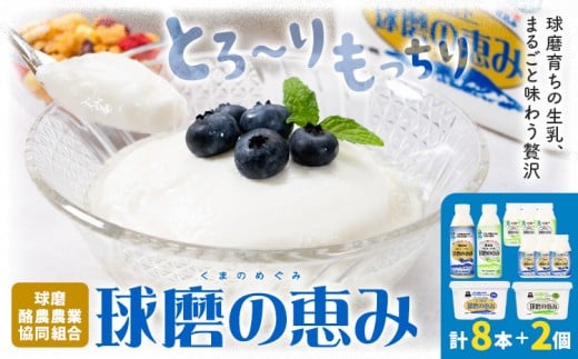 球磨の恵み ヨーグルト 計2個 のむヨーグルト 計8本 堪能セット 球磨酪農農業協同組合《30日以内に出荷予定(土日祝除く)》熊本県 球磨郡 山江村 球磨の恵みヨーグルト 球磨の恵みのむヨー