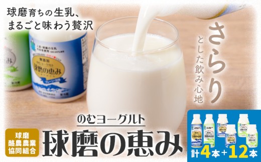 球磨の恵み のむヨーグルト 450g×4本 150g×12本 球磨酪農農業協同組合《30日以内に出荷予定(土日祝除く)》熊本県 球磨郡 山江村 球磨の恵みのむヨーグルト 加糖 砂糖不使用 熊本県産 生乳 使