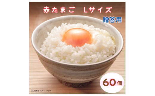 小川エッグの赤たまごLサイズ贈答用 60個 赤たまご たまご 卵 玉子 タマゴ 新鮮 旨み 甘み 贈答用 贈答 ギフト 贈り物 千葉県 匝瑳市千葉県匝瑳市9000卵・乳製品卵(鶏、烏骨鶏等)