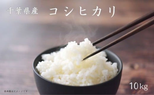 《 令和7年産 》米 コシヒカリ 10kg ( 5kg×2 ) / 米 こめ コメ お米 おこめ コシヒカリ こしひかり 令和7年 新米 白米 精米 ごはん 10kg 千葉県匝瑳市31000米・パン白米