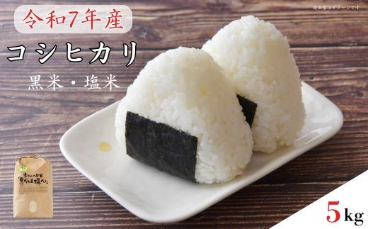 《 令和7年産 》黒米・塩米(コシヒカリ)約5kg / お米 米 精米 白米 コシヒカリ こしひかり 5kg 新米 令和7年 千葉県千葉県匝瑳市16000米・パン白米