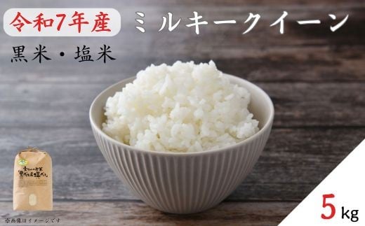 《 令和7年産 》黒米・塩米(ミルキークイーン)約5kg / 米 お米 こめ コメ 精米 白米 新米 令和7年 ミルキークイーン 5kg 産地直送千葉県匝瑳市16000米・パン白米