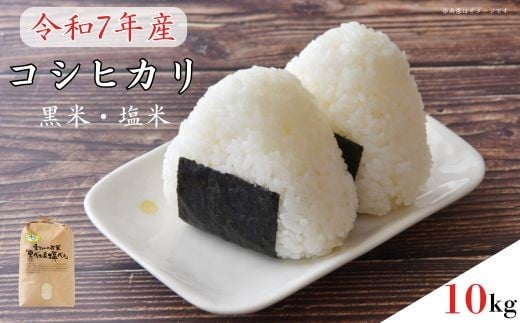《 令和7年産 》黒米・塩米(コシヒカリ)約10kg / お米 米 精米 白米 コシヒカリ こしひかり 10kg 新米 令和7年 千葉県千葉県匝瑳市28000米・パン白米