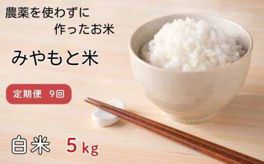 【定期便9回】農薬を使わずに作ったお米 みやもと米(白米) 5kg千葉県匝瑳市152000米・パン白米