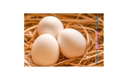 匝瑳の“さくら色”たまご Lサイズ 贈答用120個 / 卵 タマゴ 玉子 新鮮 千葉県千葉県匝瑳市15000卵・乳製品卵(鶏、烏骨鶏等)