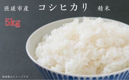 コシヒカリ 精米 5kg / 米 こめ コメ お米 おこめ コシヒカリ こしひかり 令和7年 新米 白米 精米 ごはん 5kg 千葉県匝瑳市17000米・パン白米