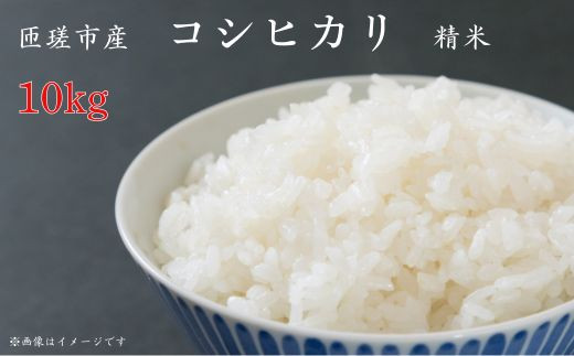匝瑳市産 コシヒカリ 精米 10kg / 米 こめ コメ お米 おこめ コシヒカリ こしひかり 令和7年 新米 白米 精米 ごはん 10kg 千葉県匝瑳市30000米・パン白米