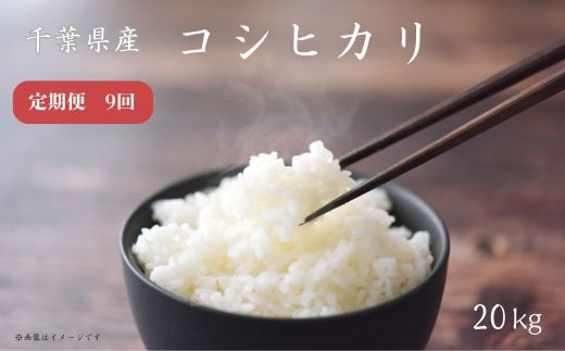【定期便9回】《 令和7年産 》千葉県産コシヒカリ20kg / 米 こめ コメ お米 おこめ コシヒカリ こしひかり 令和7年 新米 白米 精米 ごはん 20kg 定期便 千葉県匝瑳市540000米・パン白米