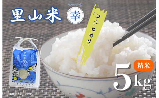里山米マルコウ コシヒカリ 5kg 精米 / 米 こめ コメ お米 おこめ コシヒカリ こしひかり 令和7年産 新米 白米 精米 ごはん ご飯 5kg 千葉県 匝瑳市 千葉県匝瑳市15000米・パン白米