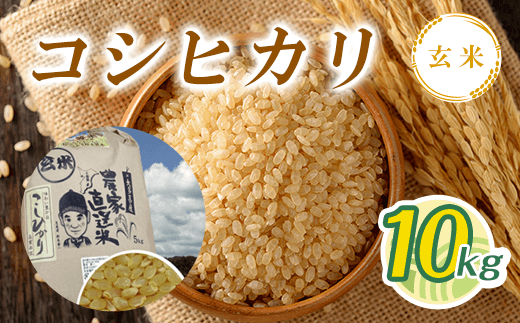 ߘa7NY VăRVqJ 10kg T01531 /  ϕāi1j   RVqJ Ђ  R ͂  t 命쒬t命쒬31000āEpāEGāEāE