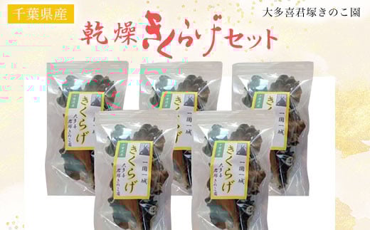 W012501 炰Zbgt命쒬16000؁Ê̂