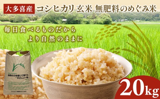 W04701 令和7年産 大多喜産コシヒカリ 玄米20s 無肥料のめぐみ米 〜毎日食べるものだから 自然の力を信じて育てた やさしい一粒 を届けたい〜千葉県大多喜町61000米・パン玄米