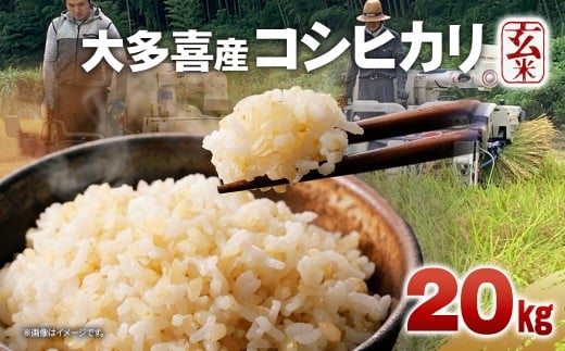 W04702 令和7年産 大多喜産コシヒカリ 玄米20s千葉県大多喜町61000米・パン玄米・雑穀米・もち米・餅