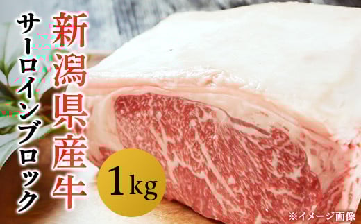 76-69A新潟県産牛(長岡産)サーロイン1kgブロック新潟県長岡市34000肉牛肉