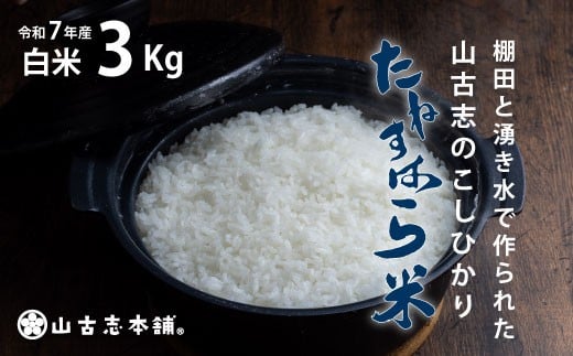 G3-7K03旧山古志村のこしひかり「たねすはら米」白米3kg(新潟県産コシヒカリ)新潟県長岡市17000米・パン白米