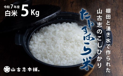 G3-7K05旧山古志村のこしひかり「たねすはら米」白米5kg(新潟県産コシヒカリ)新潟県長岡市28000米・パン白米