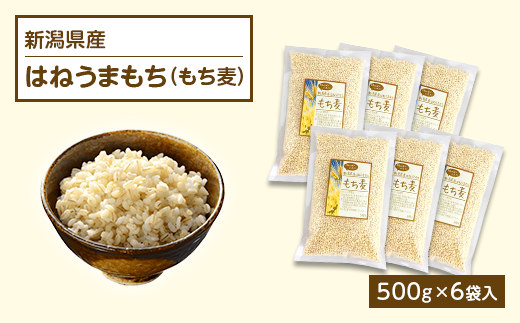 G8-24新潟県産はねうまもち(もち麦)500g×6袋入新潟県長岡市13000米・パン玄米・雑穀米・もち米・餅