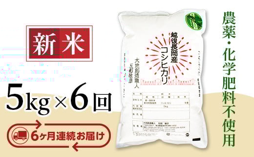 E1-S056B【6ヶ月連続お届け】新潟県長岡産コシヒカリ5kg新潟県長岡市112000米・パン白米