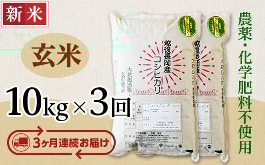 E1-G103A【3ヶ月連続お届け】新潟県長岡産コシヒカリ玄米10kg新潟県長岡市108000米・パン玄米・雑穀米・もち米・餅