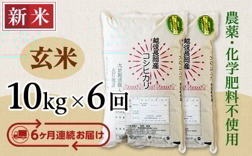 E1-G106A【6ヶ月連続お届け】新潟県長岡産コシヒカリ玄米10kg新潟県長岡市215000米・パン玄米・雑穀米・もち米・餅