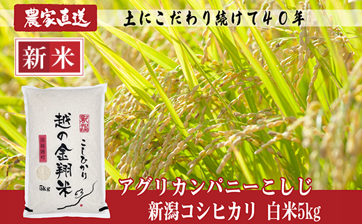 J8-7N051【越の金翔米】新潟県長岡産コシヒカリ5kg(特別栽培米)新潟県長岡市17000米・パン白米