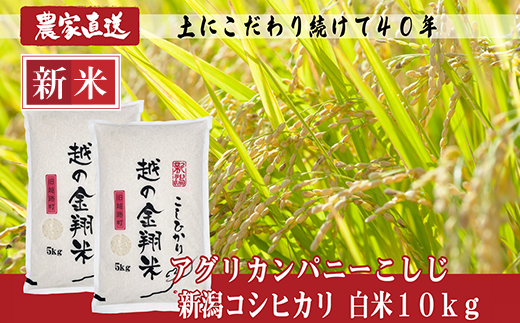 J8-7N101【越の金翔米】新潟県長岡産コシヒカリ10kg(特別栽培米)新潟県長岡市33000米・パン白米