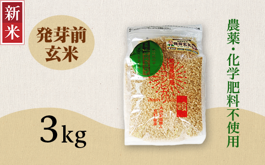 E1-H031A新潟県長岡産コシヒカリ 発芽前玄米 3kg新潟県長岡市20000米・パン玄米・雑穀米・もち米・餅