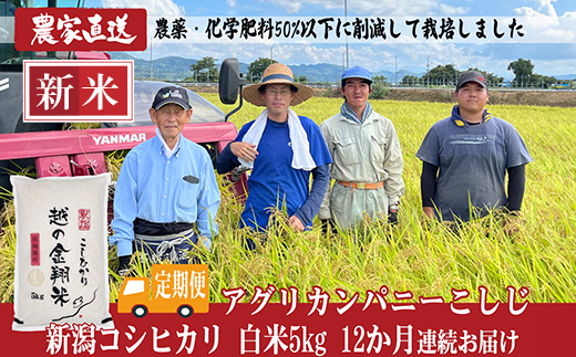 J8-7N05Z【12ヶ月連続お届け】新潟県長岡産コシヒカリ5kg(特別栽培米)新潟県長岡市178000米・パン白米