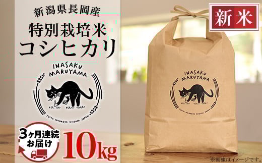 L4-K103【3ヶ月連続お届け】新潟県長岡産 特別栽培米コシヒカリ 10kg新潟県長岡市90000米・パン白米