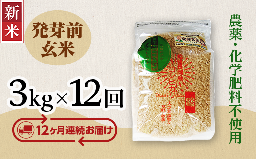 E1-H03ZA【12ヶ月連続お届け】新潟県長岡産コシヒカリ 発芽前玄米 3kg新潟県長岡市232000米・パン玄米・雑穀米・もち米・餅