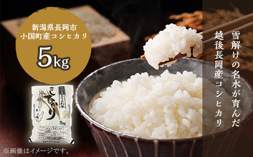 O1-01新潟県小国町産 特別栽培米コシヒカリ「きりさわ米」5kg新潟県長岡市10000米・パン白米