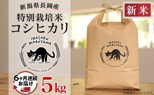 L4-K056【6ヶ月連続お届け】新潟県長岡産 特別栽培米コシヒカリ 5kg新潟県長岡市90000米・パン白米