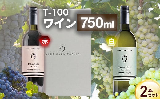 24-07B T100 ワイン750ml×2本セット【ワインファームとちお】新潟県長岡市27000酒・アルコールワイン