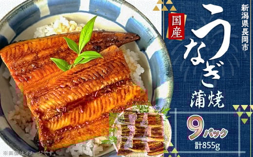 H7-84【簡単調理】国産鰻蒲焼 95g×9パック新潟県長岡市49000魚介・海産物うなぎ