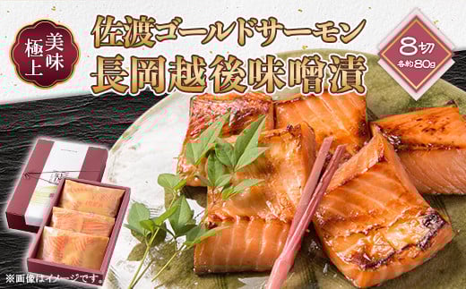 66-17美味極上 佐渡ゴールドサーモンの長岡越後味噌漬 8切入新潟県長岡市23000魚介・海産物鮮魚