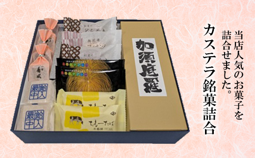 68-16JXeًlVs21000َqEXC[cP[LEJXe