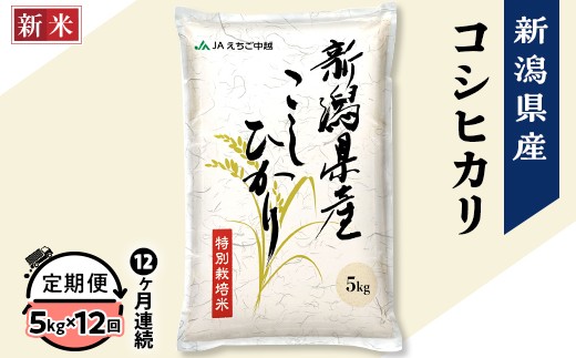 75-7N05ZA【12ヶ月連続お届け】新潟県長岡産コシヒカリ5kg(特別栽培米)【2025年11月下旬発送開始】新潟県長岡市192000米・パン白米