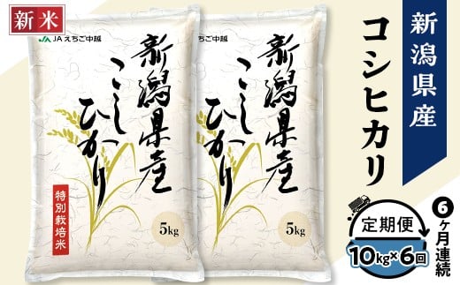 75-7N106A【6ヶ月連続お届け】新潟県長岡産コシヒカリ10kg(特別栽培米)【2025年11月中旬発送開始】新潟県長岡市186000米・パン白米