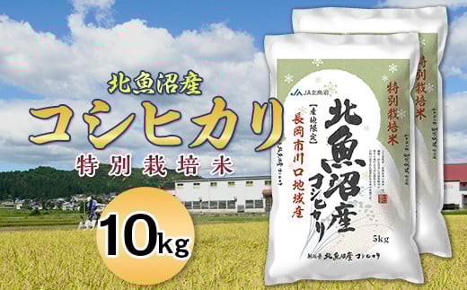 7T10-1北魚沼産コシヒカリ特別栽培米10kg(長岡川口地域)【2025年12月発送】新潟県長岡市42000米・パン白米