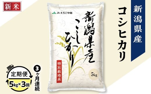 75-7N053A【3ヶ月連続お届け】新潟県長岡産コシヒカリ5kg(特別栽培米)【2025年12月中旬発送開始】新潟県長岡市48000米・パン白米