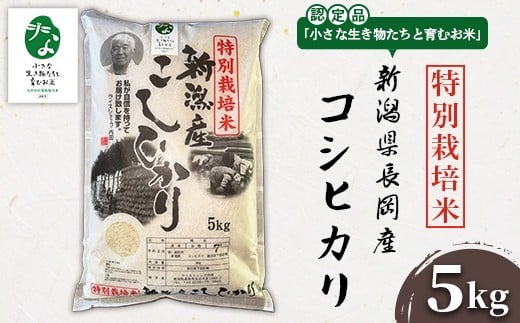 P1-01新潟県長岡産特別栽培米コシヒカリ 5kg【「小さな生き物たちと育むお米」認証品】新潟県長岡市18000米・パン白米